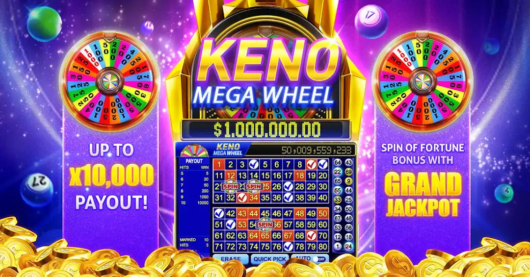 917 bet 655 bet cassino entretenimento