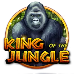 917 bet pvbet cassino Android